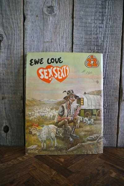 画像1: ビンテージ　SUPER　SEXSEXTY　BOOK　#22