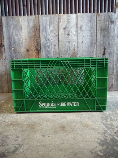 画像1: ビンテージ　Sequoia　PUREWATER　ケース