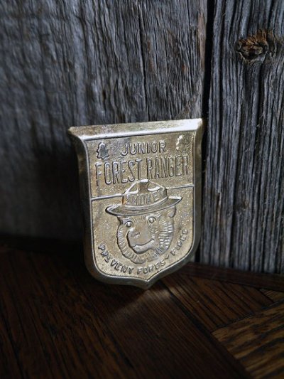 画像2: ビンテージ　SMOKEY　BEAR　バッチ