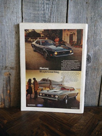 画像1: ビンテージ PLAYBOY マガジン JUNE 1971