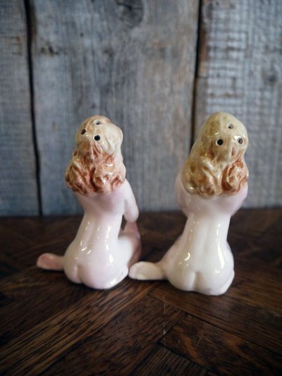 画像1: ビンテージ　ピンナップガール　SALT＆PEPEER　セット