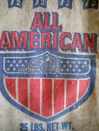 画像2: ビンテージ ALL AMERICAN HARD LEAD SHOT バック