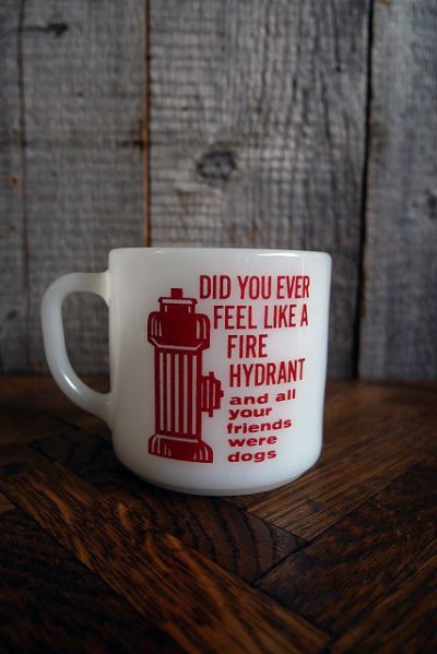 画像1: ビンテージ FIRE HYDRANT マグカップ(鑑賞用)