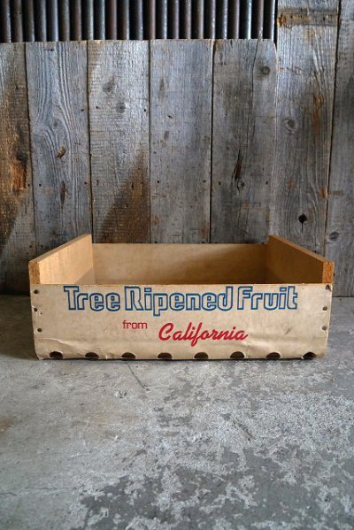 画像1: ビンテージ　Giumarra Bros. Fruit Co　ウッドケース