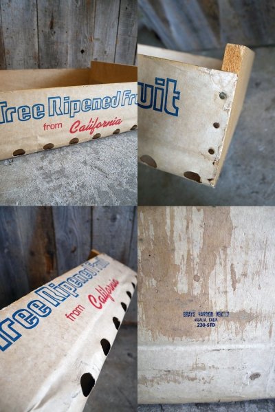 画像2: ビンテージ　Giumarra Bros. Fruit Co　ウッドケース
